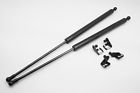 Dampe015-ar-ft002c Fit Fiat Punto Bonnet Hood Black Carbon Gas Strut Shock