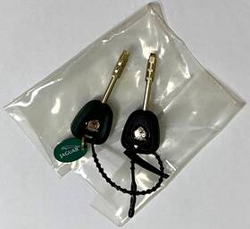 C2n1966 Jaguar Automotive Keys One Green Valet Key And Black