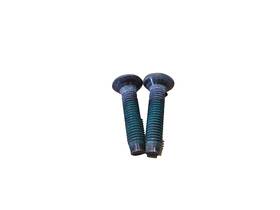 6504573 Mopar Door Latch Striker Plate Screw Set Of 2 Oem Torx