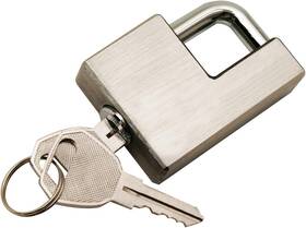 7005800 Reese Towpower Trailer Coupler Lock Adjustable Stainless Steel
