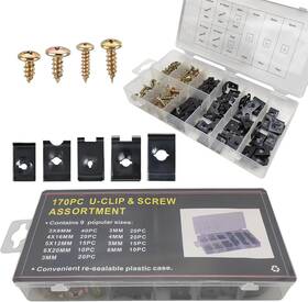 Yum39 Yumfugu 170 Pcs Car Screw Assortment Kit 9 Different Sizes Of One Size Multicolored