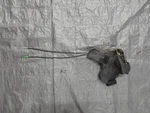 2000-2005 Toyota MR2 Spyder Driver Left Front Door Latch Lock Actuator 01 02. Fixed Price $80.10.