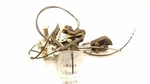 2000 Toyota Tundra Passenger Side Rear Door Lock Actuator Assembly. Fixed Price $229.99.