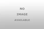 Dorman 931334 Integrated Latch Actuator For Vehicle Security. Fixed Price $121.99.