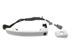 Genuine Nissan Exterior Door Handle 806B1-ZL95D. Fixed Price $142.68.