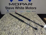 01-10 Chrysler Pt Cruiser New Liftgate Set Of 2 Mopar Factory Oem. Fixed Price $137.55.
