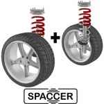 Lift With Independent Gas Tank Company Springs And Spaccer,. Fixed Price $313.63.