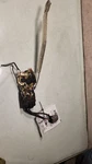 Tacoma 2002 Toyota 69030-04010 Front Door Lock Assembly, Right. Fixed Price $53.40.