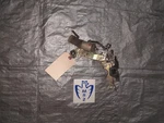 1985-1989 Toyota MR2 AW11 4AGE 1.6L Driver Left Door Lock Actuator Power 1986. Fixed Price $71.25.