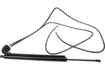 Autotecnica CA0820637 Liftgate Lock Actuator. Fixed Price $257.21.