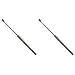 SET-TRWTSG366005-2 Of Hood Lift Supports Driver & Passenger Side Pair. Fixed Price $58.09.