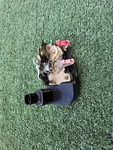1996-2000 Chrysler Sebring Cirrus Left Driver Latch Power Door Lock Actuator. Fixed Price $69.00.