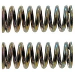 SET-RB38436-2 Dorman Of Door Hinge Springs Front Driver & Passenger Pair. Fixed Price $27.83.