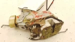 01-03 Toyota Prius Passenger Side Front Door Lock Actuator Assembly. Fixed Price $109.99.