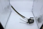 Genuine Mazda Door Lock Actuator Motor TD11-59-310D. Fixed Price $159.85.