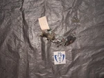 1985-1989 Toyota MR2 AW11 4AGE 1.6L Right Passenger Door Lock Actuator Power. Fixed Price $71.25.