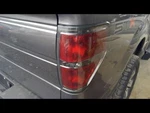 Passenger Tail Light Styleside Ebony Border Fits 10-14 Ford F150 Pickup 833569. Fixed Price $110.00.