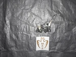1991-1995 Toyota MR2 Trunk Latch Lid 1992 1993 1994 SW20. Fixed Price $37.05.