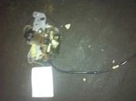 2005 Caravan Right Latch. Fixed Price $64.79.