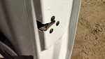 2002-2007 Gmc Envoy Passenger Right Front Door Latch With Rods/cables Oem. Fixed Price $112.50.
