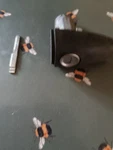 Mercedes-benz Sprinter W906 Vw Crafter Door Lock Barrel With Blade. Fixed Price $78.13.