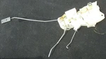 1999 - 2004 Honda Odyssey Right Front Passenger Door Latch & Power Lock Actuator. Fixed Price $35.00.