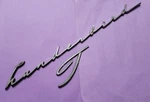 BIN35 Used Vintage Oem 1960 Ford Thunderbird Script Emblem Badge COSB-6320978. Fixed Price $54.99.