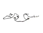 Genuine Mopar Lift-gate Wiring 68401345AB. Fixed Price $114.10.
