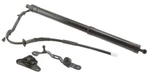 Genuine Aisin Power Back Door Lift Strut Assembly PBD-021. Fixed Price $424.37.