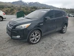 Tailgate Lock Actuator Oem 2008 Ford Escape 1YR Wrnty. Fixed Price $170.00.