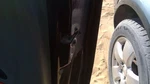 2002-2007 Trail Blazer Passenger Right Front Door Latch With Rods/cables Oem. Fixed Price $85.50.