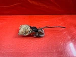 04-09 Honda S2000 Passenger Right Door Lock Actuator Latch Oem #225. Fixed Price $44.95.
