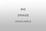 Dorman 931 010 Intgr Latch Actuator. Fixed Price $124.04.