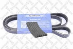 Stellox Ford V-ribbed Belt 1011612. Fixed Price $39.00.